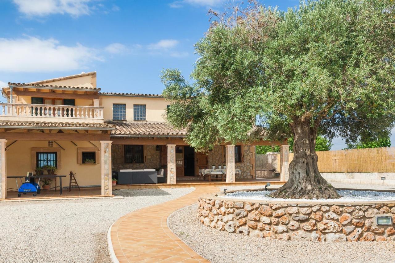 Finca Mostaxet Semesterbostad