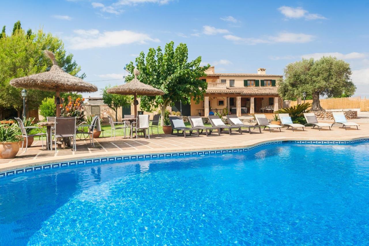 Finca Mostaxet Holiday home